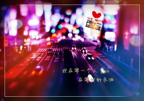 我周敬川陆宁沈青小说名字 我的房子突然多了一个女主人男主我周敬川陆宁沈青小说