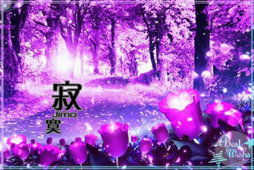 苏叶李樾李之橪舒只音免费阅读最新章节 炽阳心芒知乎苏叶李樾李之橪舒只音