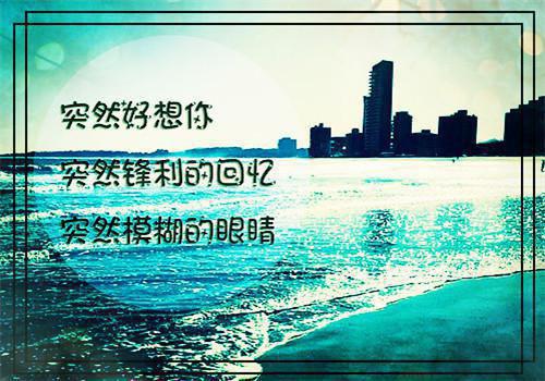 林莺闻宋千际的最新章节小说 青梅竹马终成空,你我再无前缘续小说林莺闻宋千际