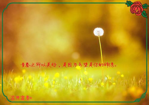 爸妈让我睡棺材赎罪，我长眠后他们后悔了复仇大宝小宝推荐完本_已完结爸妈让我睡棺材赎罪，我长眠后他们后悔了（大宝小宝）