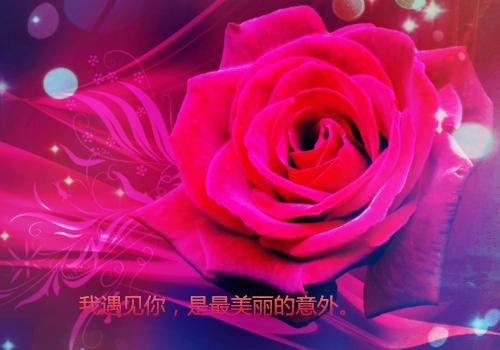 李泊希夏时小说叫什么名字 我们今天分手了吗在线阅读