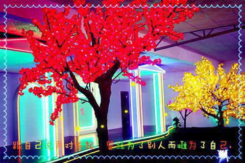 青梧灼渊小说 历劫白糖小说青梧灼渊免费阅读全文