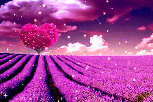 任嘉林祁越免费阅读 穿越后,第九次回家失败小说