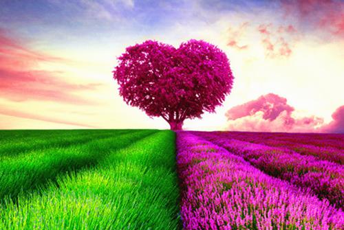 林小宝顾青青林振邦小说结局 穿书炮灰的妈妈拒不离婚免费阅读林小宝顾青青林振邦小说