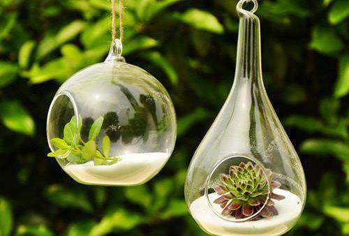 江若初傅斯年林软软小说免费阅读 等不见春风拂面男主江若初傅斯年林软软小说