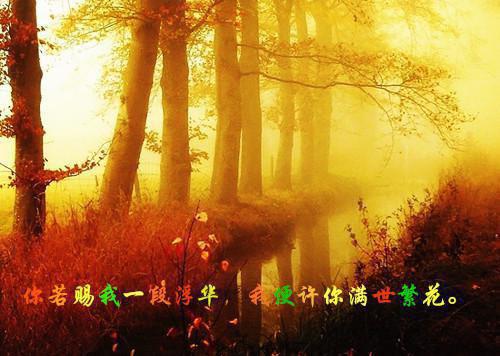 陆芸白顾修远沈寒小说叫什么 候一场漫天飘雪：后续男主陆芸白顾修远沈寒小说