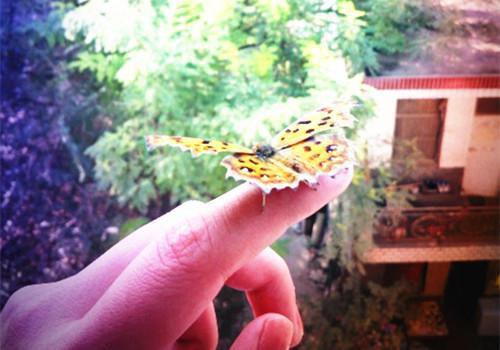 明月不觉相思意完结热文（沈书伊傅晏泽）全文免费_（沈书伊傅晏泽）明月不觉相思意后续阅读（沈书伊傅晏泽）