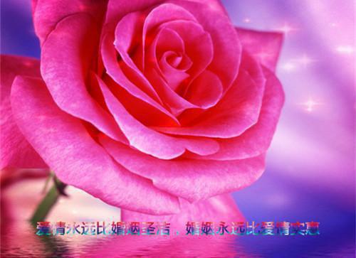 苏语小说名 谁是我的新郎：后续完整版