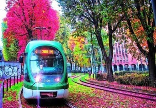 楚凡小说免费阅读 蛇蝎校花,等我出狱第一个找你短篇小说