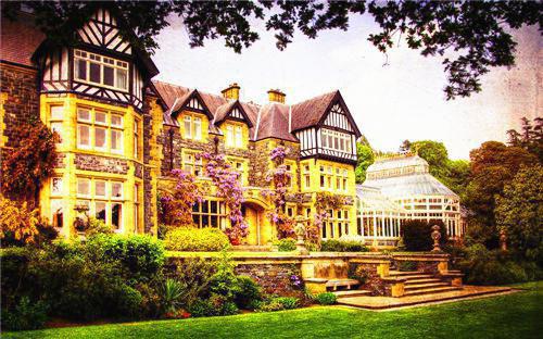 祝茵魏珣宋芷意顾玄卿宝珠小说免费阅读全文 怀孕被夫君送给同窗，五年后我生女他却悔疯了完整版