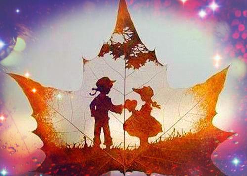 回首岁岁安抖音新书（姜萝傅彦诚）在线阅读最近更新