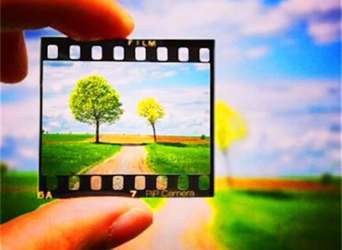 林远李强王芳免费阅读 举报我赚取黑心钱后她悔疯了男主林远李强王芳小说