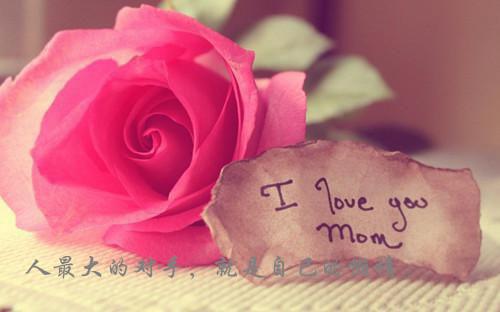 苏梨陈朗的最新章节更新时间 结婚八年,丁克老公带回一个七岁的孩子笔趣阁最新章节