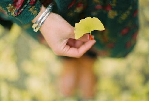 姬明欢的小说叫什么 我的化身正在成为最终BOSS免费阅读小说