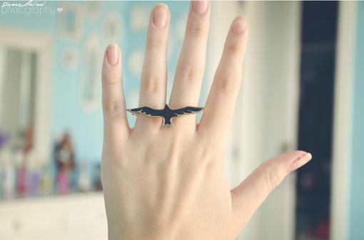 第二封情书新鲜出炉小说(阮禾靳斯砚)全文阅读