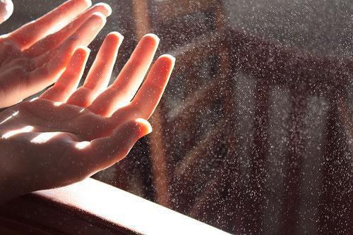 姜棠月姜伊人最新章节更新 当山河四省新农人投胎到不受宠的真千金肚子后笔趣阁