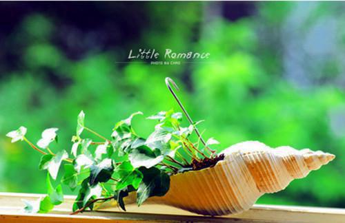 陆南枝谢知衡陆青瑶免费阅读最新章节 今生错许误南枝笔趣阁