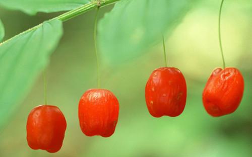 席慕言傅煦川：+后续+结局（席慕言傅煦川）爱恨纠葛免费阅读_(席慕言傅煦川：+后续+结局)席慕言傅煦川：+后续+结局爱恨纠葛免费阅读（席慕言傅煦川）