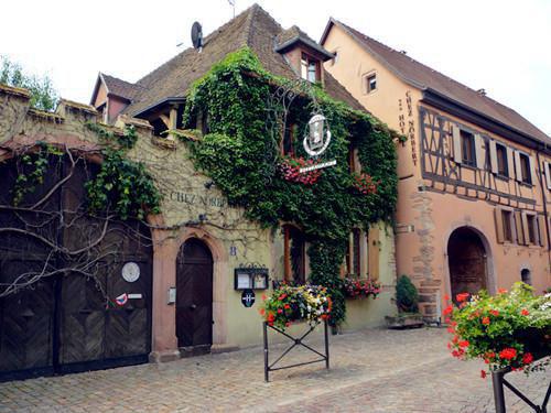 裴港黎舟是哪部小说 离港之舟:后续短篇小说