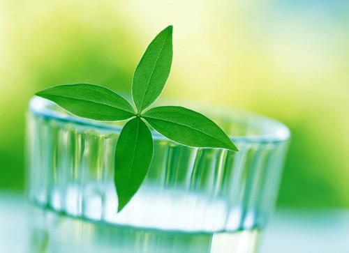 陆星野温枕萤笔趣阁免费阅读 芦苇深处有归舟小说陆星野温枕萤免费阅读