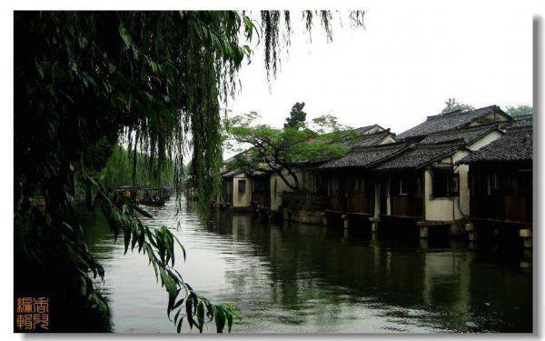 我顾家明顾娇娇宁晓月免费阅读 听到腹中萌宝心声,我抛夫弃女最新章节免费阅读