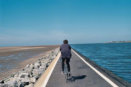 肖寻陌叶安凝沈墨小说笔趣阁最新章节 叶安凝肖寻陌小说免费阅读全文最新章节