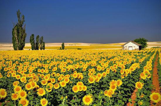 谁曾相思负缄默:+后续+结局(陆棠傅初霁)最新推荐_最新推荐谁曾相思负缄默:全文+后续(陆棠傅初霁)