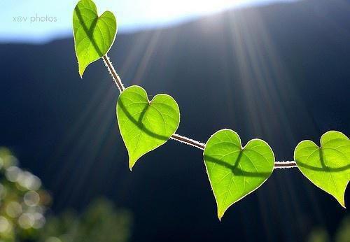 桑榆沈聿舟周窈窈笔趣阁 忆莺飞草长最新章节免费阅读