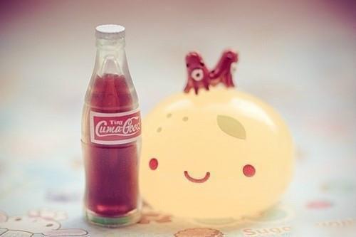 陆泽夏沫小说 夏沫陆泽江雪漫:后续原著在线阅读