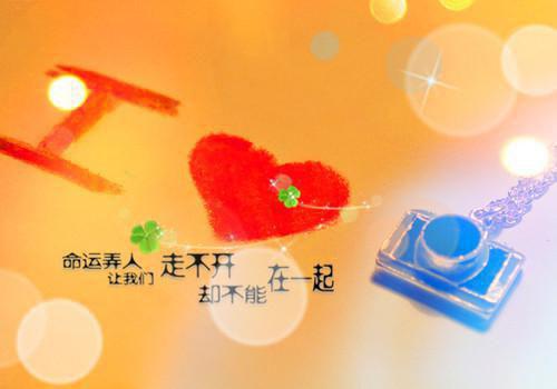 唐菀陈锋是哪部小说 老公替我在业主群领水,我离婚了小说最新章节列表