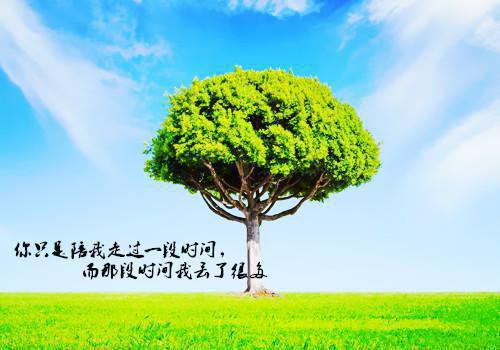 赵南峥阮乔沈逸城最新章节列表 阮乔赵南峥男主赵南峥阮乔沈逸城小说