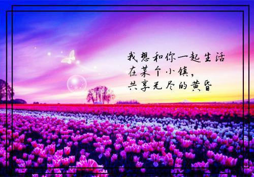 沐瑶萧逸尘小说名 谋反后,被恋爱脑王爷宠上天笔趣阁