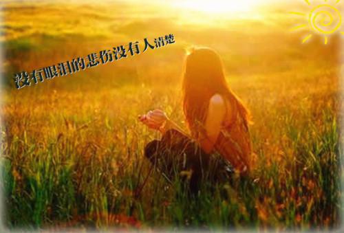 春月不再来陈绡周栖旸推荐完本_已完结春月不再来（陈绡周栖旸）