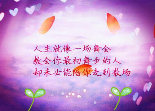 顾念苏晚晚和谁在一起了 她不想爆红顾念苏晚晚大结局