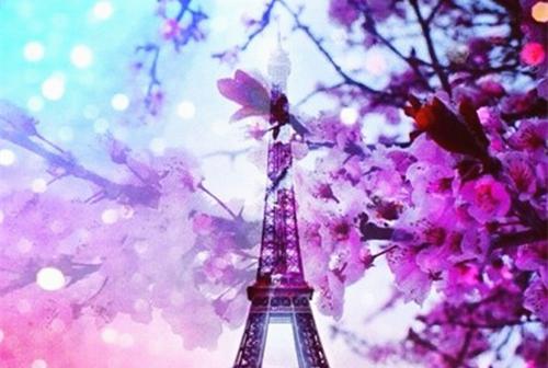 全文浏览重生后挑选哥哥当仆人，弟弟却悔疯了（顾辰沈美顾肖）_重生后挑选哥哥当仆人，弟弟却悔疯了（顾辰沈美顾肖）全文结局