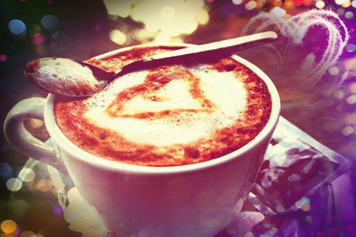 盛乔夏甜甜小说免费阅读 室友说自己是勇敢小羊，非要用微波炉加热电饭煲电子书