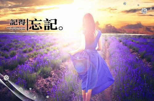 林梦宋辰徐可可的最新章节更新时间 辗转不得的彼岸在线阅读