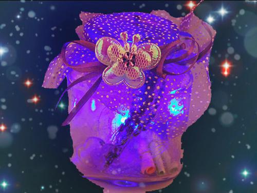 姜望星温执川周栖宁程远辰免费阅读最新章节结局 和抽签选中的佛子订婚之后，抛弃我的竹马后悔疯了未删减小说