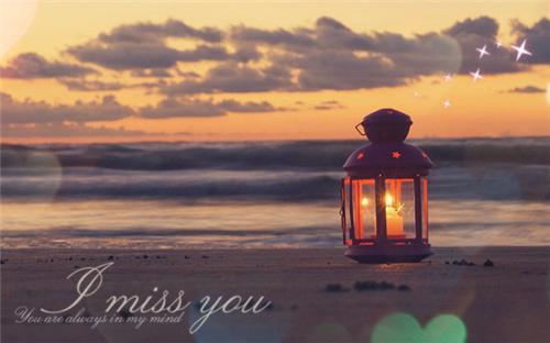 夏程源安颜小说 老婆逼我加班小说正版阅读