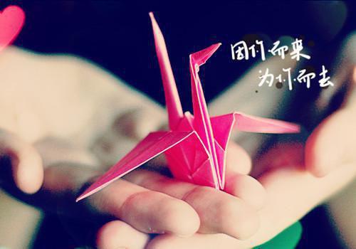 陆方淮秦夏妍大结局后续 秦夏妍陆方淮男主陆方淮秦夏妍小说