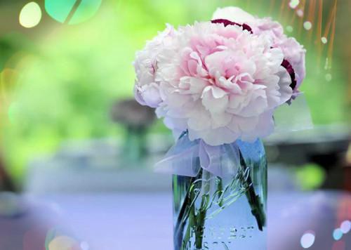 契约婚姻结束后,大佬追着我喊白月光全文阅读(沈酥谢明澈)最新章节_契约婚姻结束后,大佬追着我喊白月光全文阅读