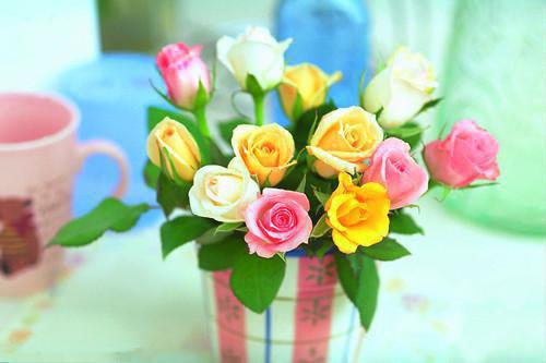 林玥张斌王翠花李娟小说叫什么 他砸烂我的车,我砸烂他全家by侠名免费阅读