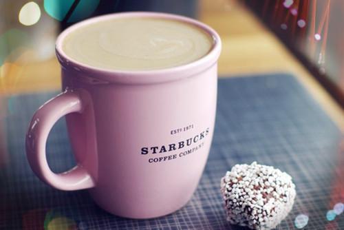 姜朝安沈泽奚最新章节更新 你好,做饭哥全文最新更新内容