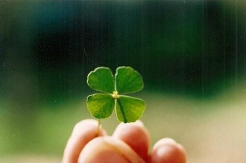 容瑾戈沈栖月笔趣阁 沈栖月容瑾戈小说正版阅读