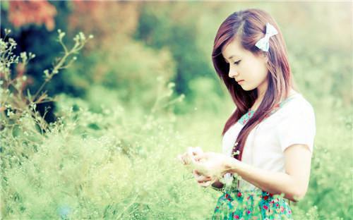 陆南枝谢知衡陆青瑶小说免费阅读全文 今生错许误南枝小说完整版免费