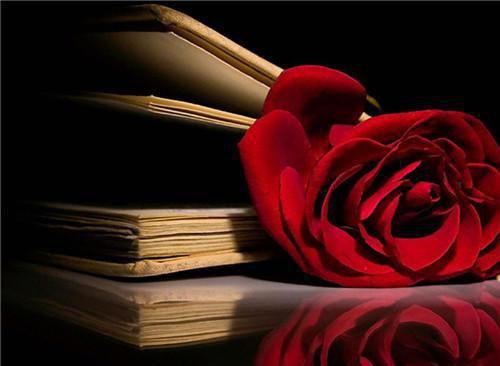 许昭越苏钰棠许怀安小说叫什么 许昭越苏钰棠结局