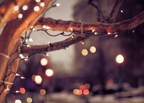 姜舒裴宵最新章节列表 舔狗跑路后，京圈太子爷悔疯了免费阅读全文