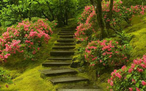 江荞许肆川苏念周聿和谁在一起了 隐婚三年：绝症日她烧了婚戒小说江荞许肆川苏念周聿免费阅读全文