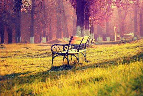 温软追风的最新章节小说 反派幼崽三岁半，爹不造反我来干：后续结局