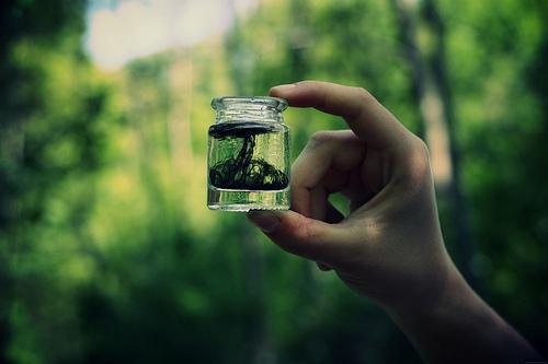 我周显念夏大结局后续 我的夫君爱上穿越女笔趣阁最新章节列表